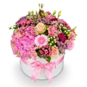 Box růžových květin